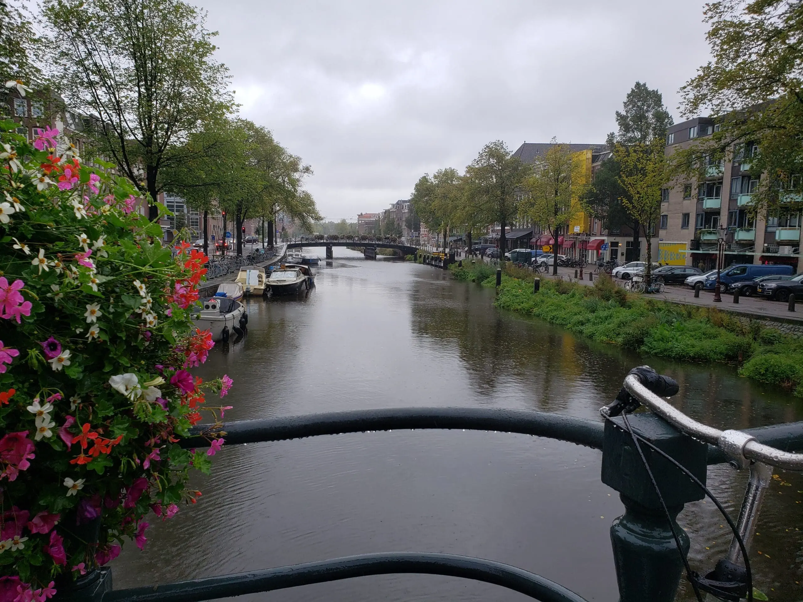 View from a small Amsterdam footbridge with pink and red flowers in the foreground, motorboats along the canal, green trees, and shops lining the right side.