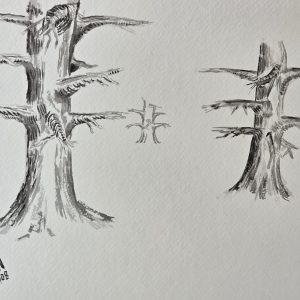 Three-Trees-Art-FREE-Copyright-2025-by-Gregory-Halpern done in black ink stick and brush on watercolor pressed paper