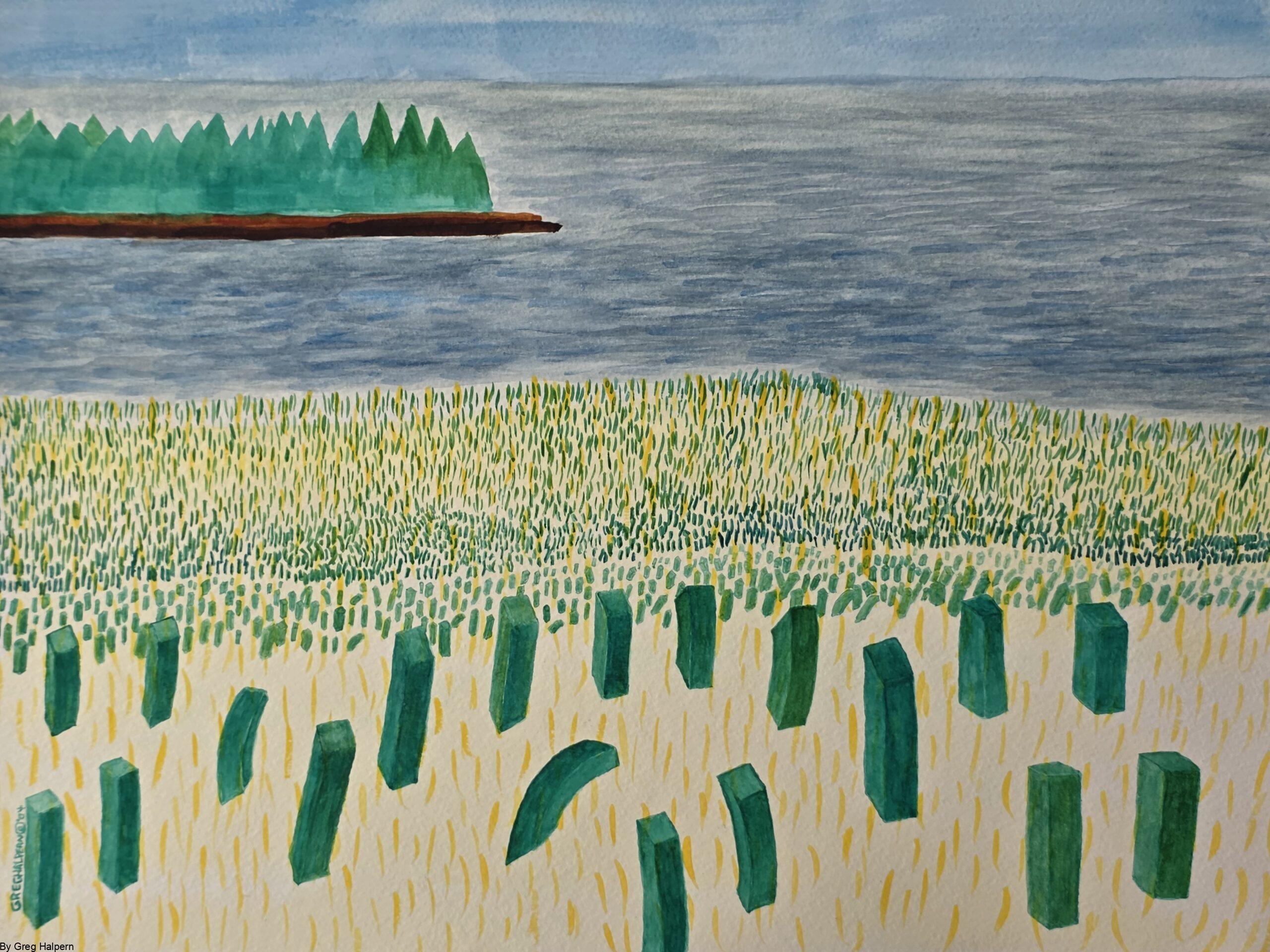 Original watercolor painting of layered grasses, ocean, and island evergreens by Gregory Halpern, available for purchas