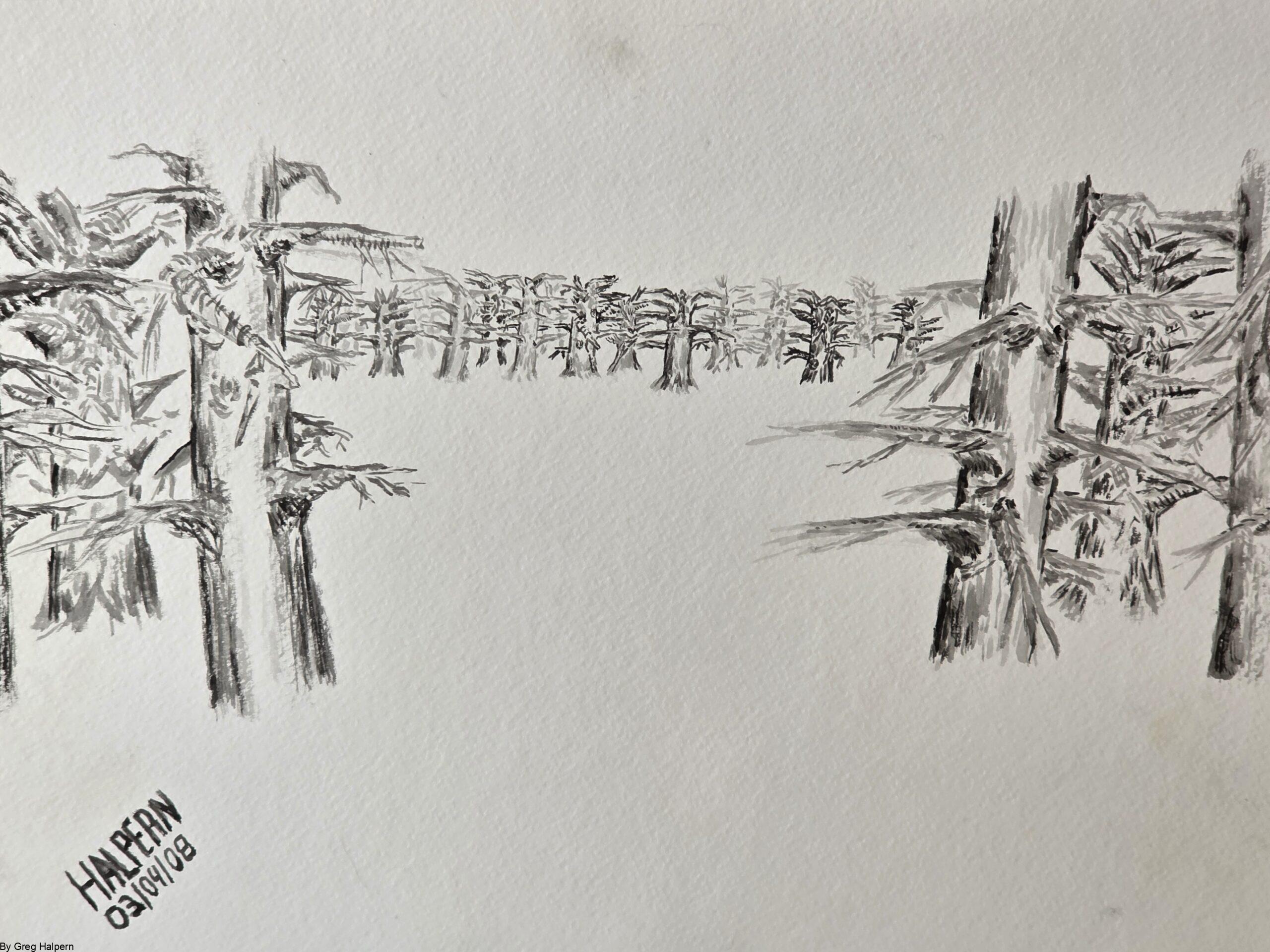 Ink brush painting of a ring of trees with one opening, symbolizing invitation and uncertainty Dense thicket of trees forming a circle, free digital download artwork