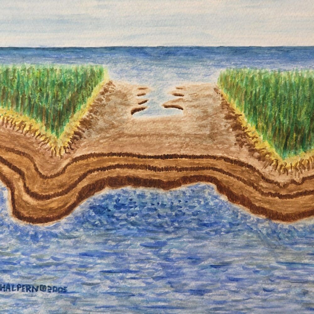 Original surreal watercolor painting of a center-cut island with twin peninsulas and smooth rock tiers by Gregory Halpern