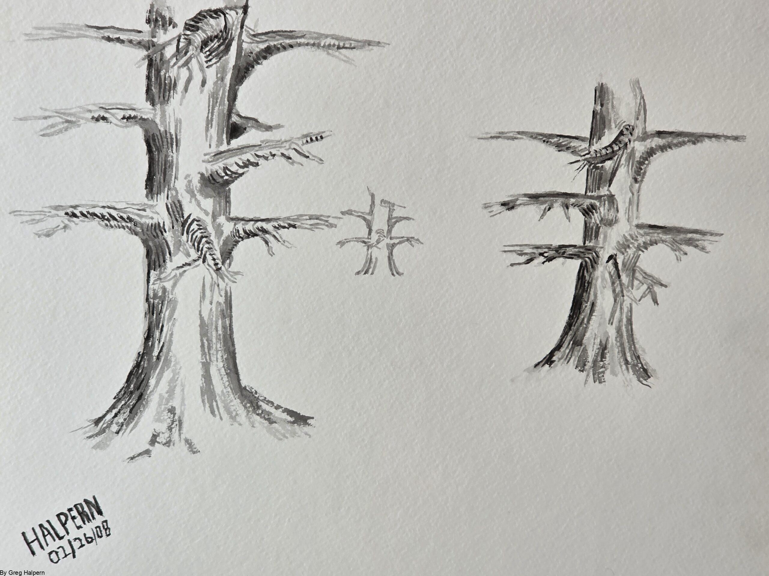 Free downloadable ink artwork of three trees in receding view, symbolizing perspective, renewal, and nature’s strength