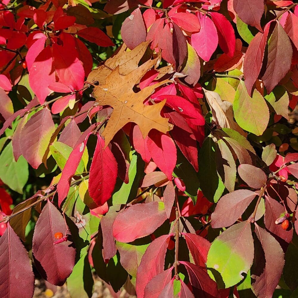 ASSUMING - A POEM BY GREG HALPERN