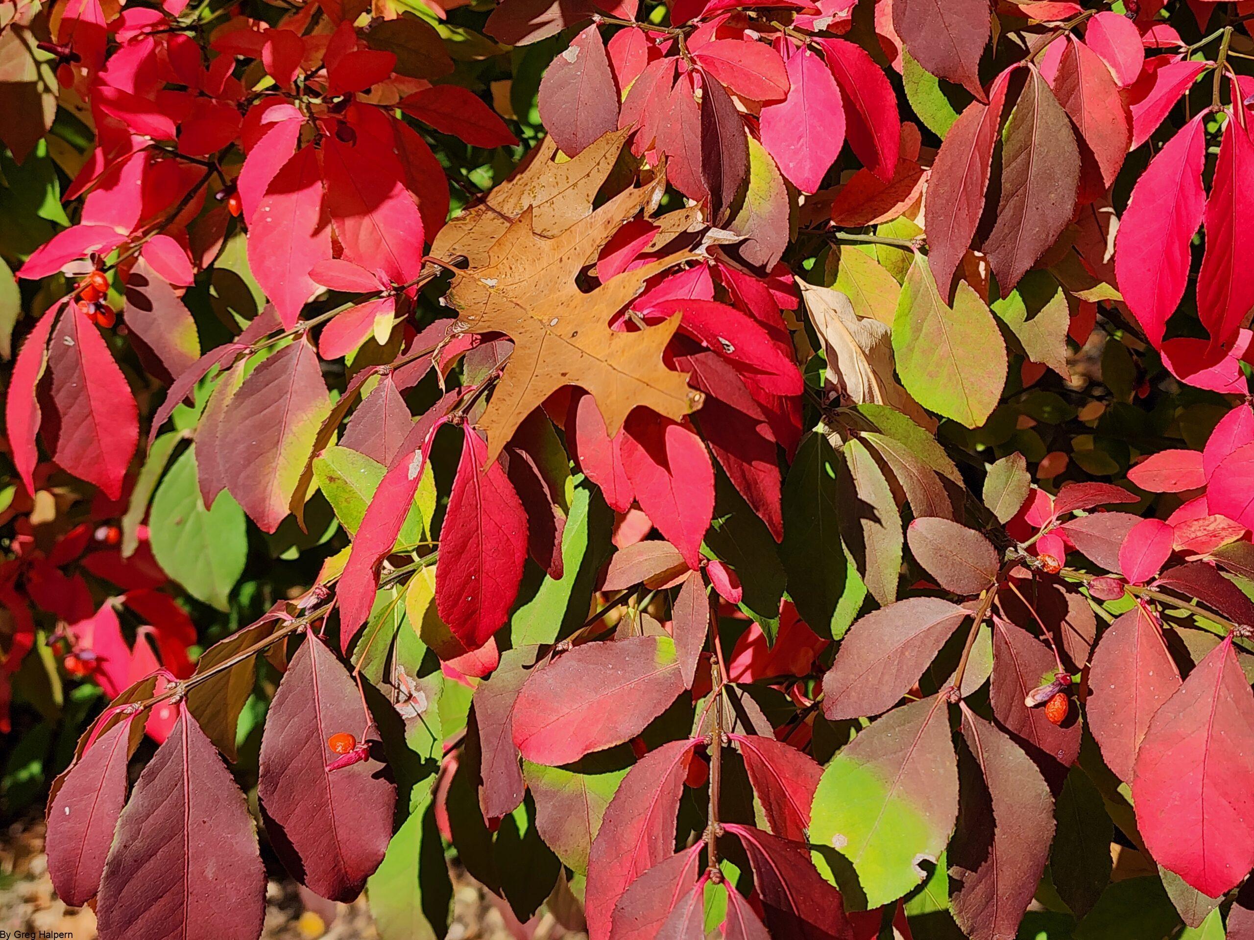 ASSUMING - A POEM BY GREG HALPERN