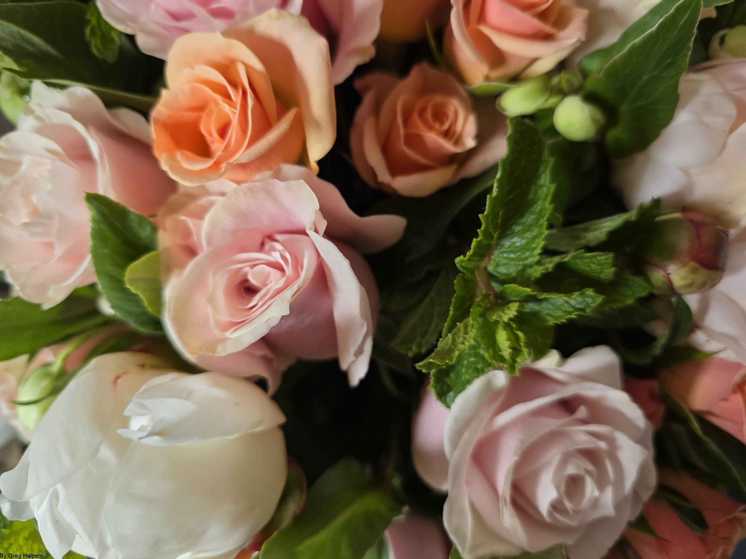 High‑resolution photograph of a rose bouquet with mint leaves and peony buds by Greg Halpern.