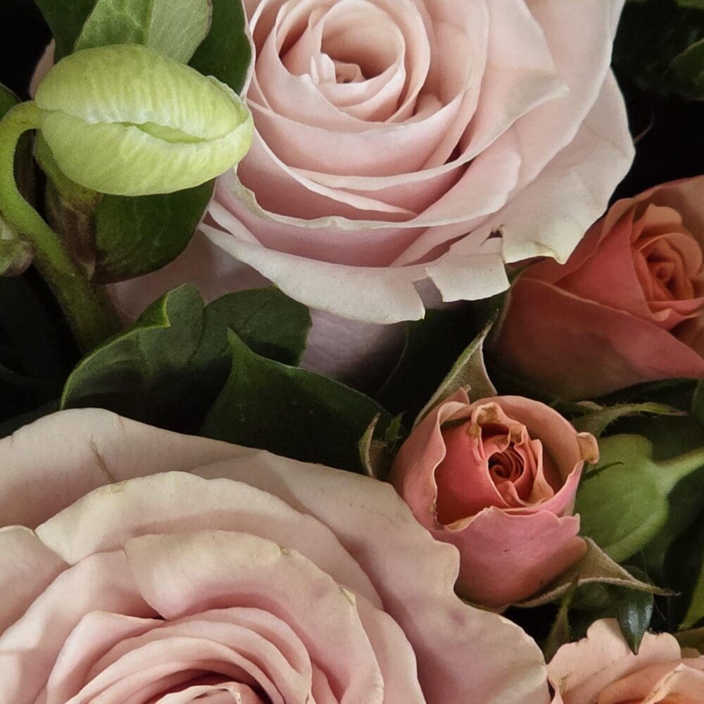 Close-up of a rose bouquet with light pink blooms over dark pink buds and green peony buds.