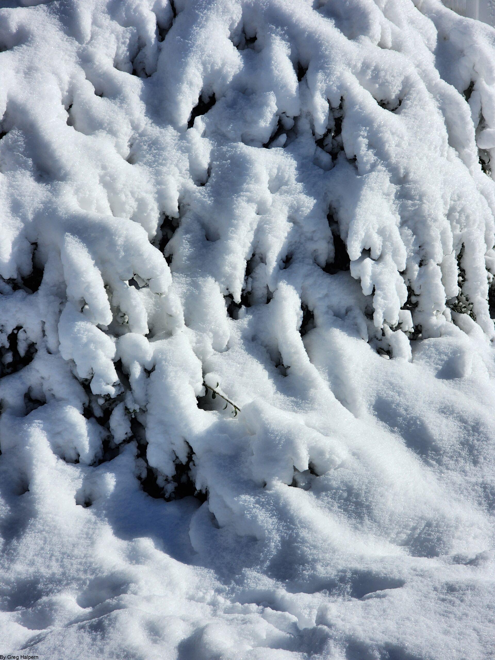 Icicle Wall Over Winter Bush – Gregory Halpern