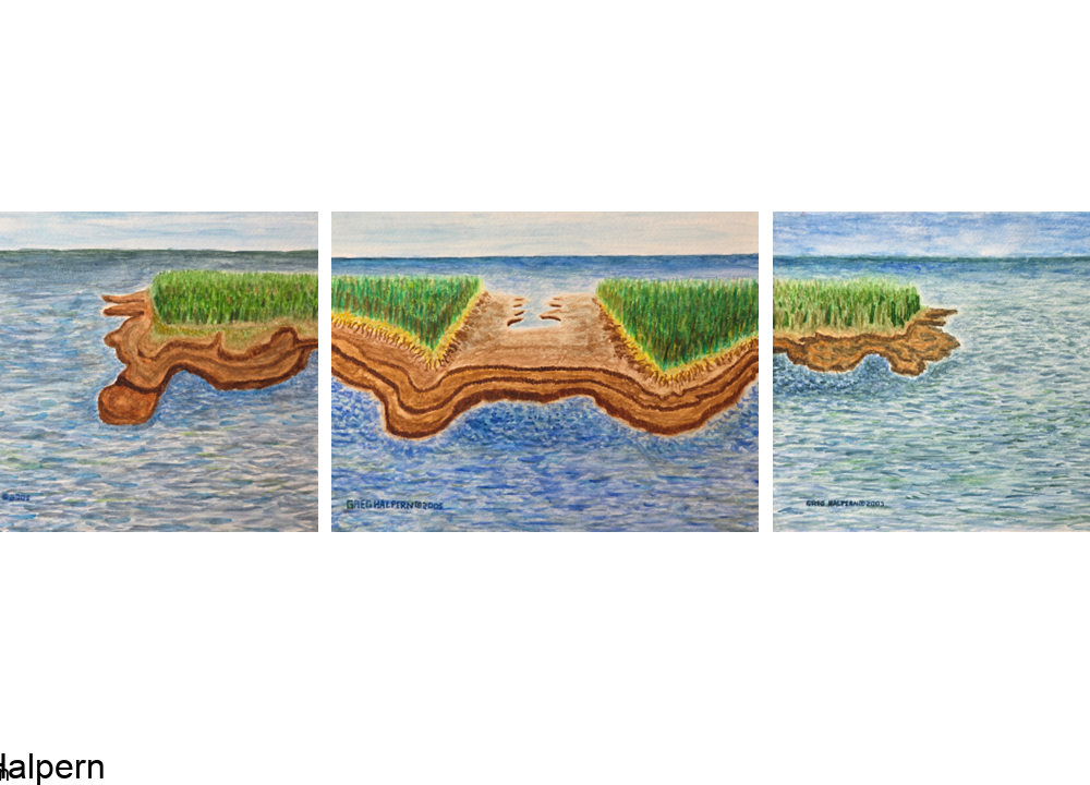 Watercolor triptych showing a continuous coastal island scene across three panels. Each painting depicts marsh grasses, eroded shoreline, and calm water under a pale blue sky, forming a unified landscape when viewed together.