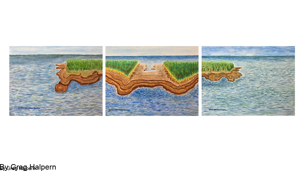 Watercolor triptych showing a continuous coastal island scene across three panels. Each painting depicts marsh grasses, eroded shoreline, and calm water under a pale blue sky, forming a unified landscape when viewed together.