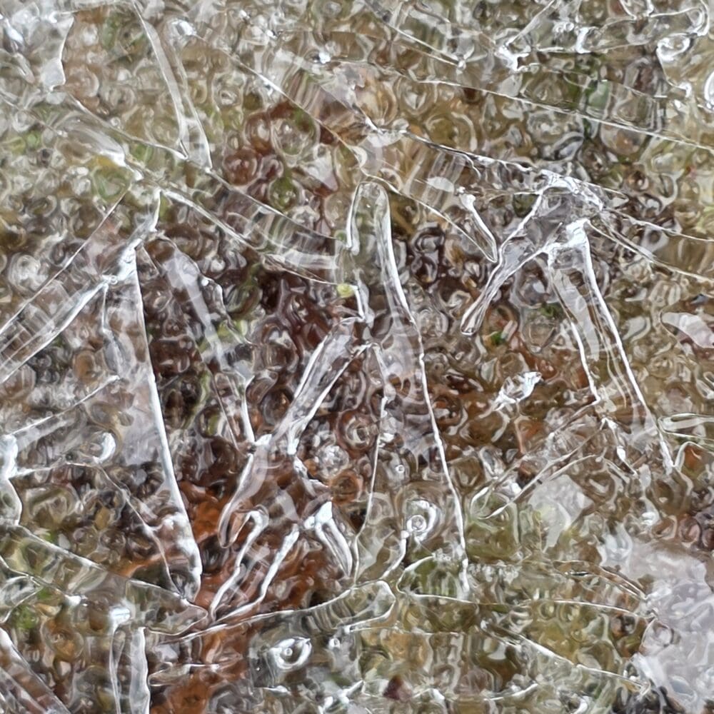 ice