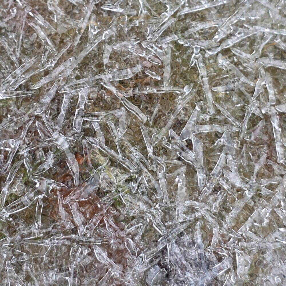 A close‑up of jagged ice crystals forming a white, tangled lattice over frozen grass and leaves.