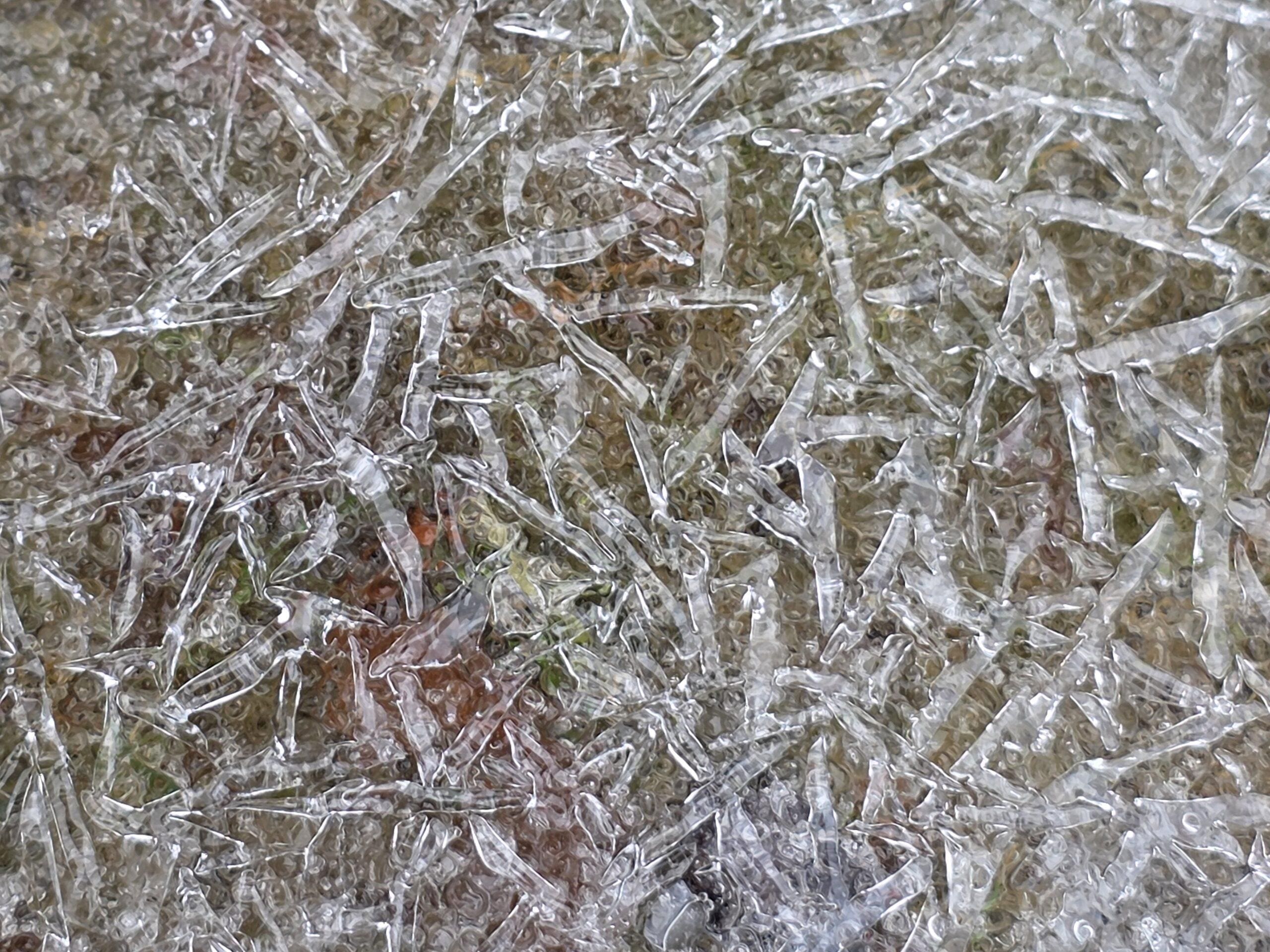 A close‑up of jagged ice crystals forming a white, tangled lattice over frozen grass and leaves.